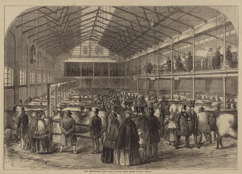 Exposição de gado do Smithfield Club Prize, Baker Street Bazaar de after Thomas Harrington Wilson