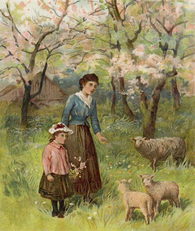Flores de maçã de after William Henry James Boot