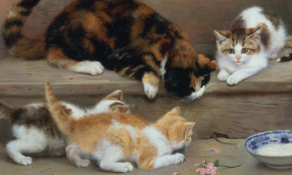 Animais de estimação