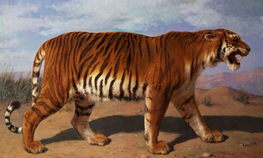 Animais Selvagens