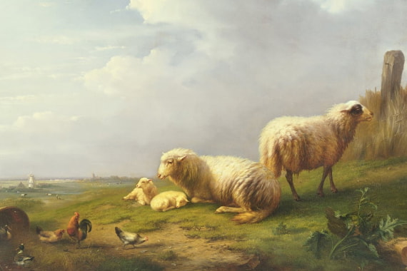 Animais de Fazenda
