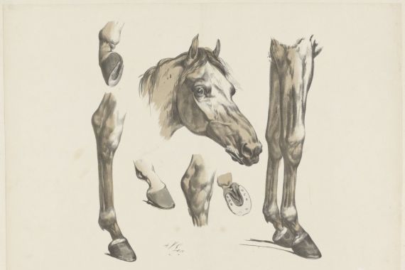 A. van Loco
