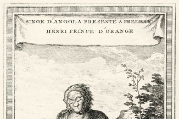 Abbé Prévost