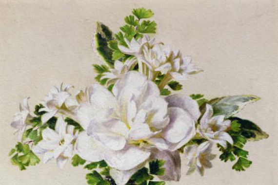 Ada Hanbury