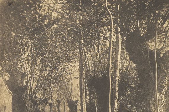 Adalbert Cuvelier