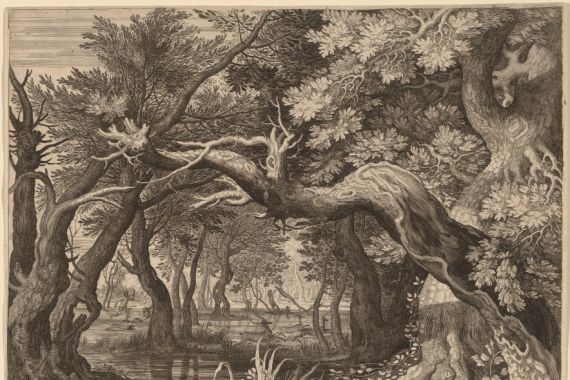 Aegidius Sadeler II after Roelandt Savery