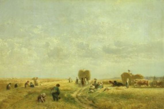 Albert Kappis