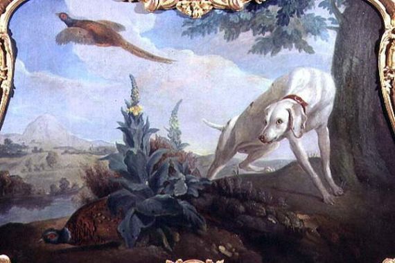 Alexandre F. (school of) Desportes