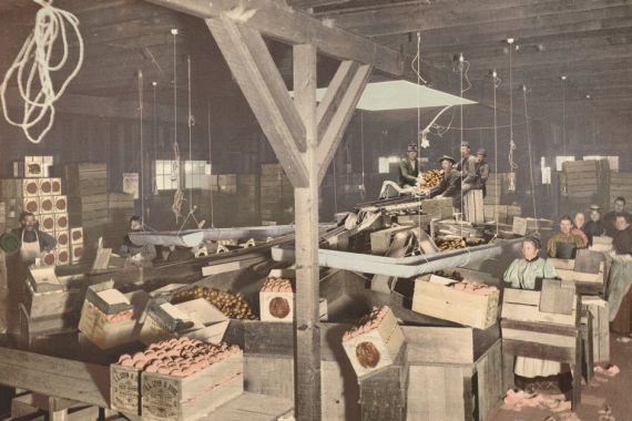 American 19th Century, Detroit Photographic Company