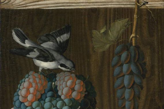 Antonio (fl.1478 1513) Leonelli