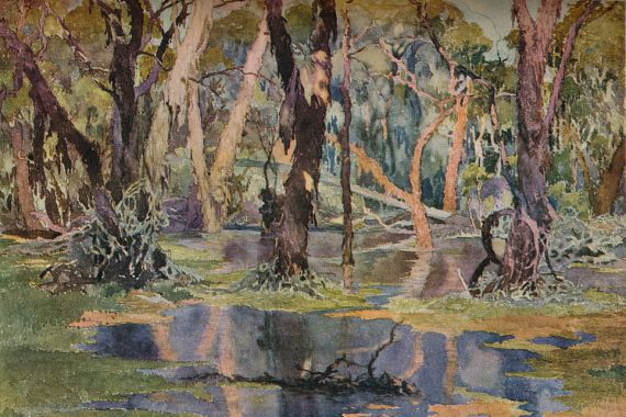 Archibald Bertram Webb