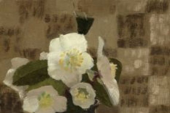 Beatrice H. Budgett