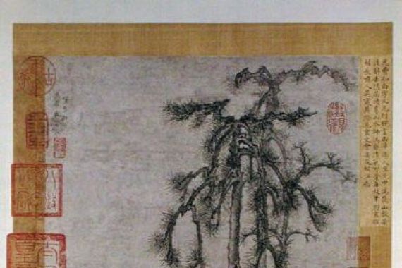 Cao Zhibo