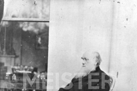 Captain L. Darwin