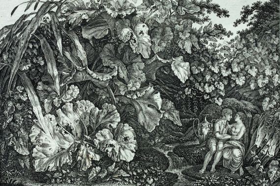 Carl Wilhelm Kolbe