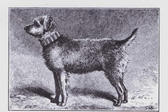 Charles Burton (after) Barber