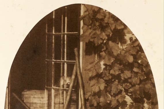 Comte Olympe Aguado