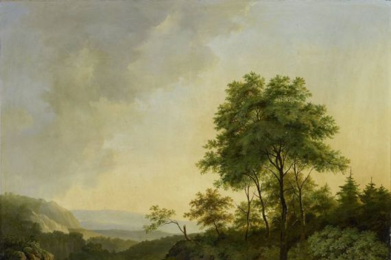 Cornelis François Roos