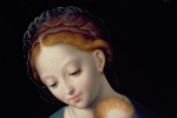 Cornelis van Cleve