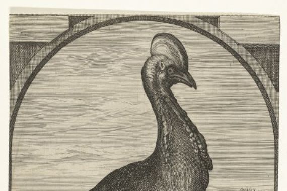 Crispijn van den Queborn (attributed to)
