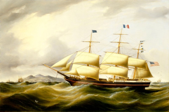 D. MacFarlane