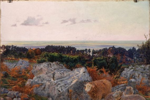 Daniel Alexander Williamson