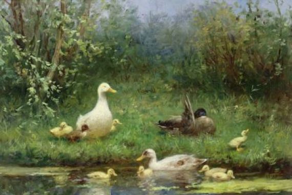 David Adolph Constant Artz