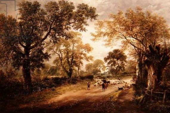 David Payne