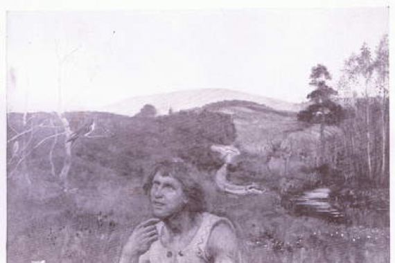 E. Neilson