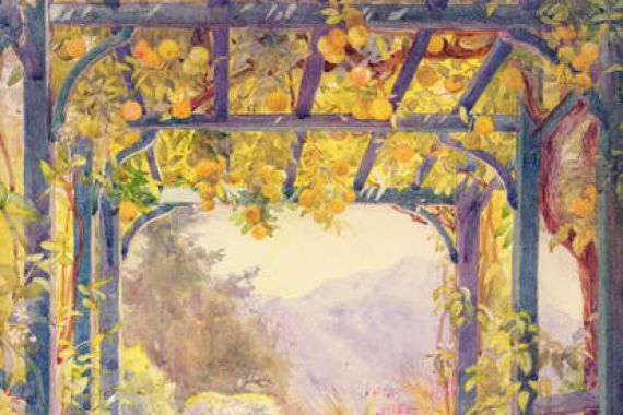 Edith Helena Adie