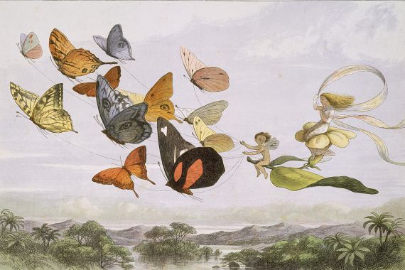 Edmund Evans