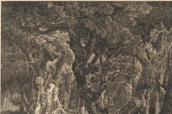 Edward Rooker