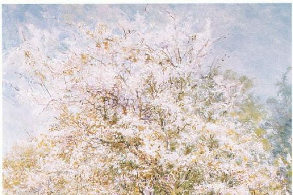 Edward Samuel Harper