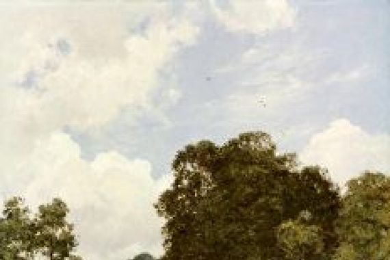 Edward Wilkins Waite