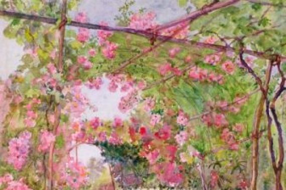 Ellen Fradgley