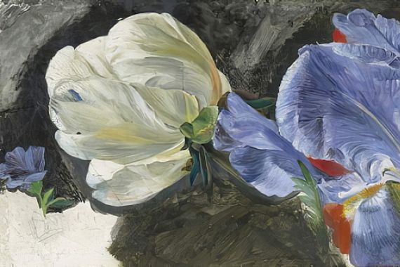 Emily Stannard