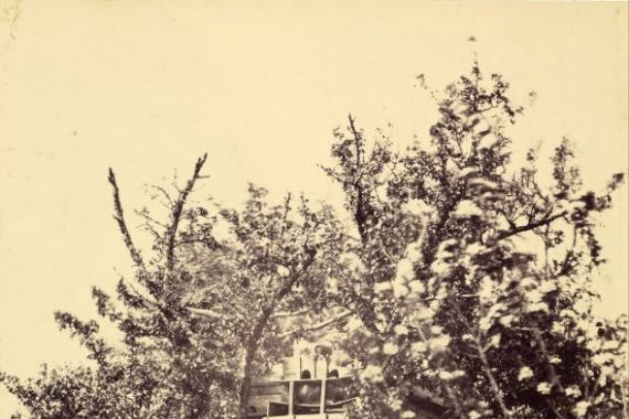 Eugène Colliau