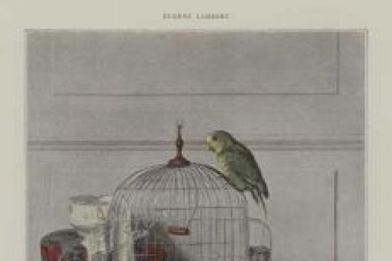Eugene Lambert