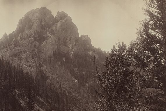 F. Jay Haynes