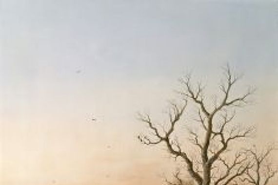 F. Muller