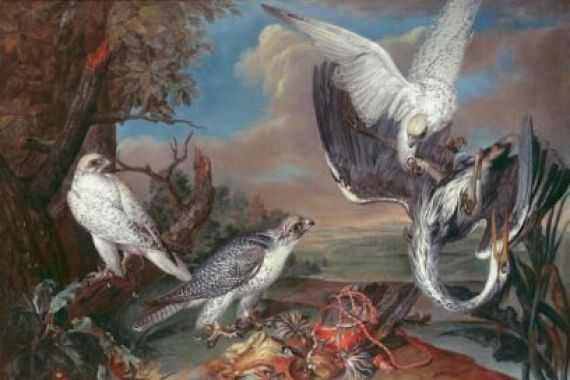 Ferdinand Phillip de Hamilton