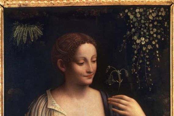 Francesco Melzi or Melzo
