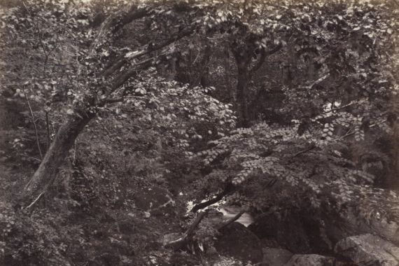 Francis Bedford, Francis Frith