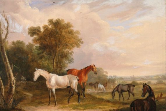 Francis Calcraft Turner