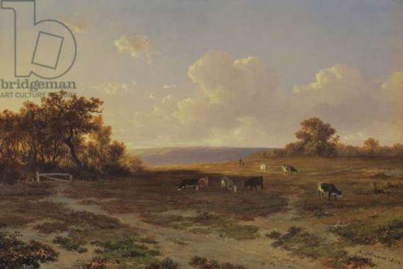 Francois Auguste Ortmans