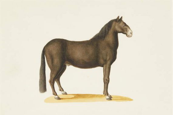 Franz Anton von (attr.to) Scheidel