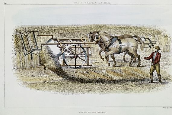 G. H. Swanston