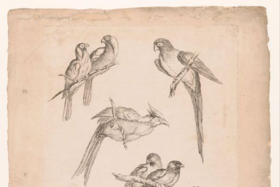 Gabriel Huquier (attributed to)