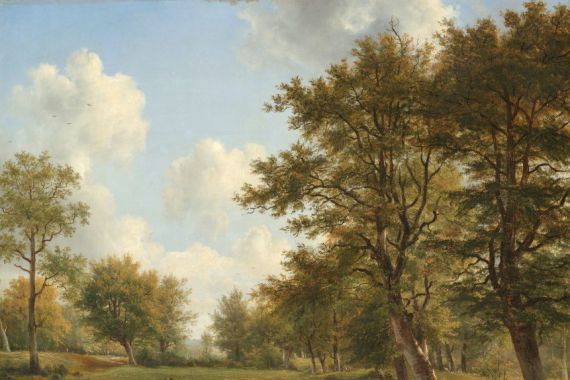 George Jacobus Johannes van Os