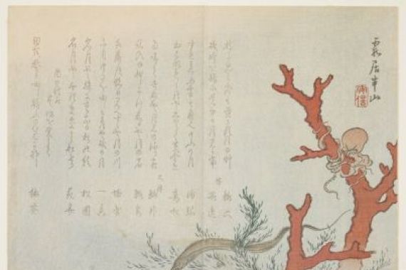 Hanzan Matsukawa